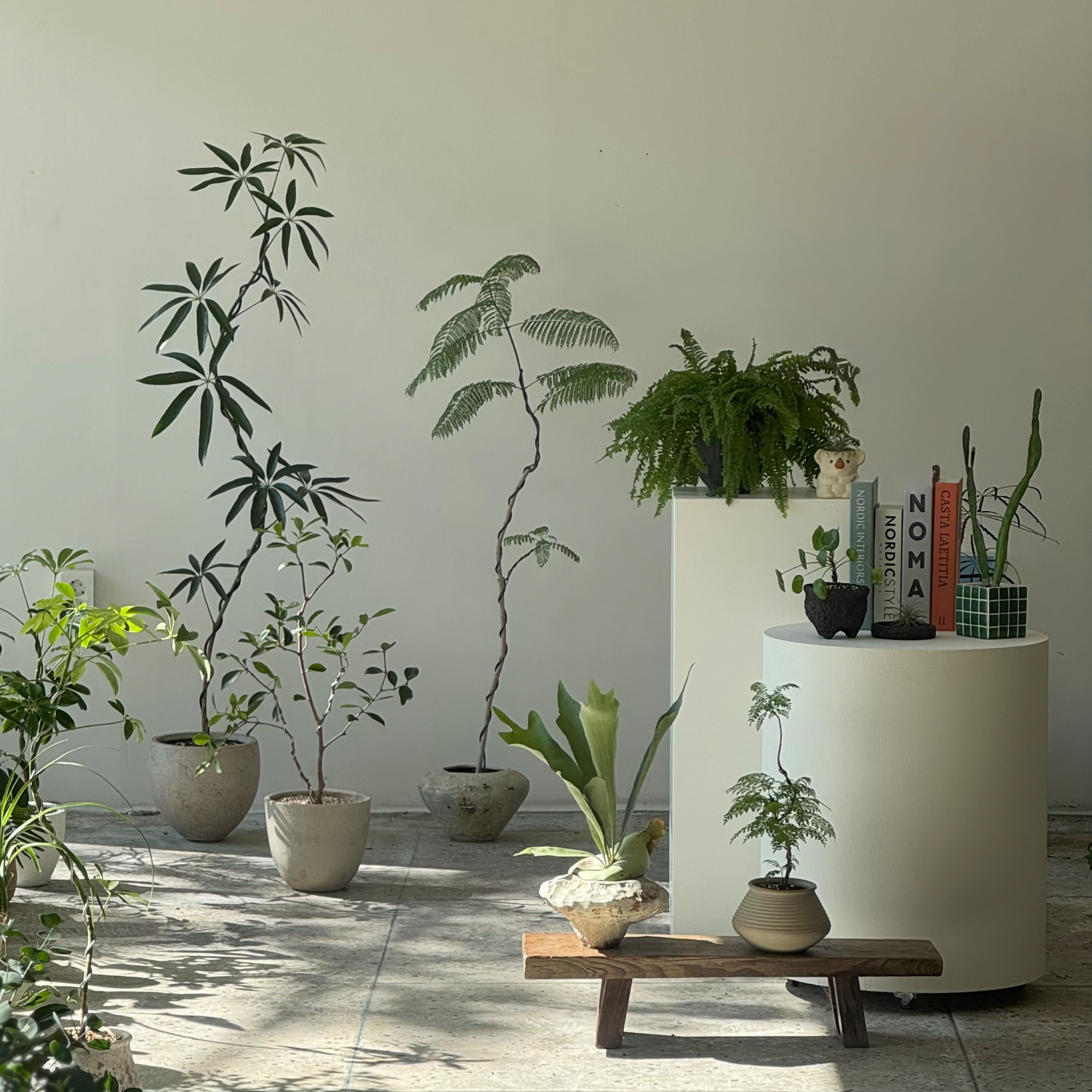 식물 스타일링과 매장 디테일을 담은 인스타그램 피드